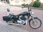 Harley Davidson XL 883C Custom