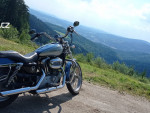 Harley Davidson XL 883C Custom