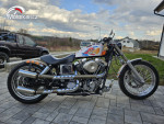 Harley Davidson spcns