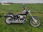 Harley Davidson fxstc Softail Custom
