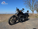 Harley Davidson XL 883N Iron