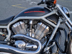 Harley Davidson vrsca V-Rod