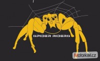 Moto skupina Spider-Riders