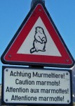 Moto skupina Achtung Murmeltiere