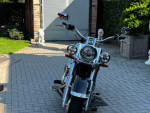 Harley Davidson flstni Softail Deluxe