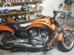 Harley Davidson vrscb V-Rod